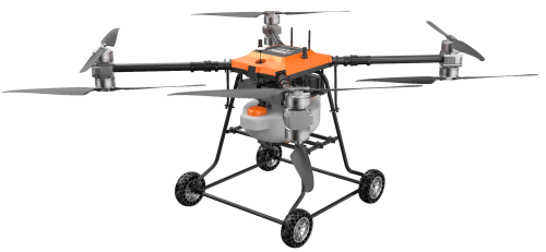 美女的隐藏部位是什么图片