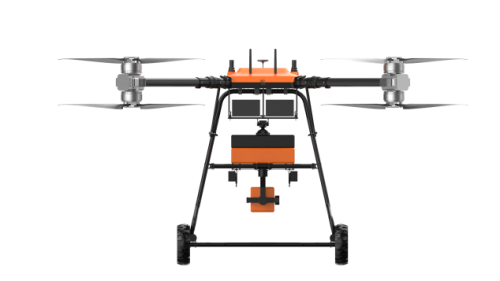 美女的隐藏部位是什么图片