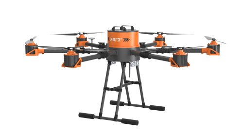 美女的隐藏部位是什么图片