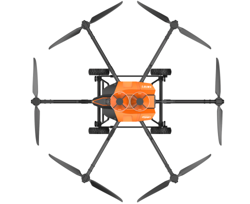 美女的隐藏部位是什么图片