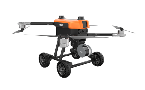 美女的隐藏部位是什么图片