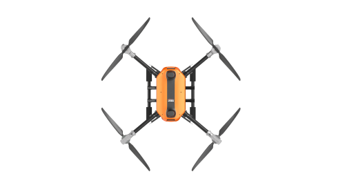 美女的隐藏部位是什么图片