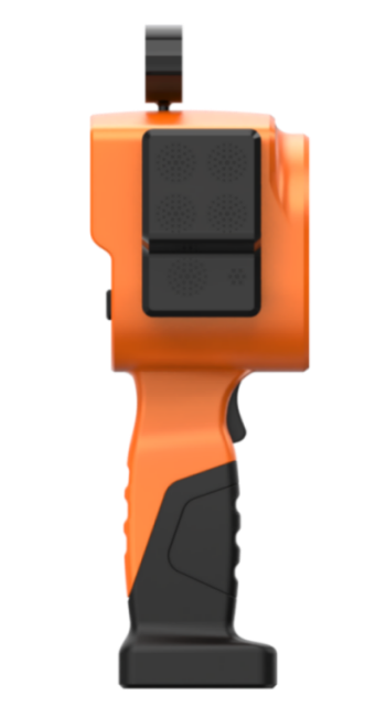 美女的隐藏部位是什么图片