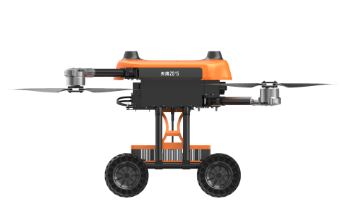 美女的隐藏部位是什么图片