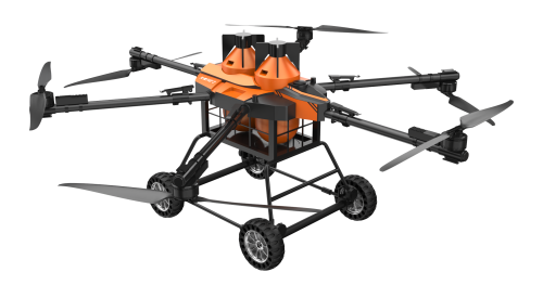 美女的隐藏部位是什么图片