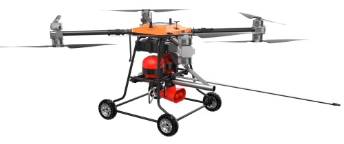 美女的隐藏部位是什么图片