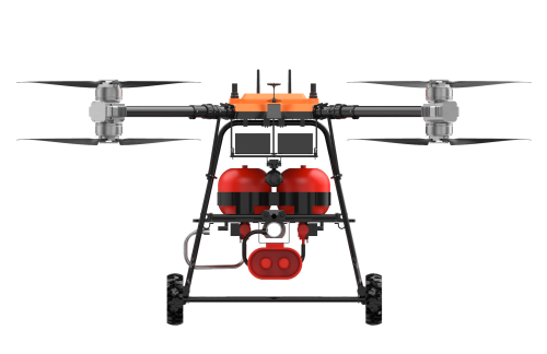 美女的隐藏部位是什么图片