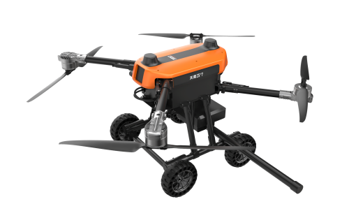 美女的隐藏部位是什么图片