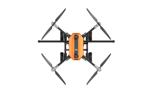 美女的隐藏部位是什么图片