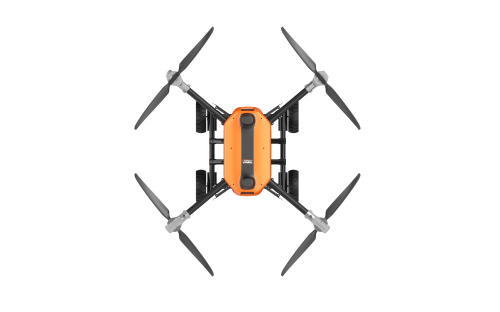 美女的隐藏部位是什么图片