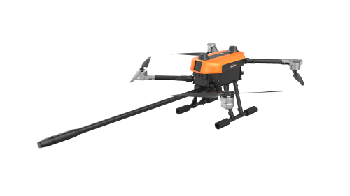 美女的隐藏部位是什么图片