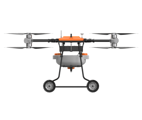 美女的隐藏部位是什么图片