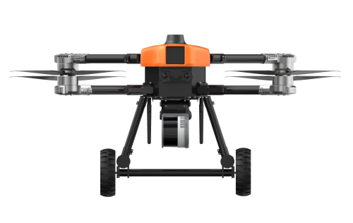 美女的隐藏部位是什么图片