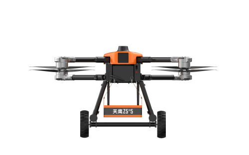 美女的隐藏部位是什么图片