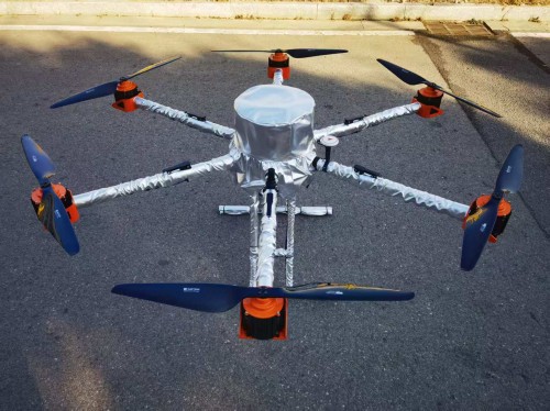 美女的隐藏部位是什么图片