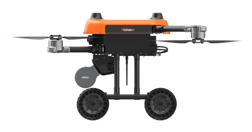 美女的隐藏部位是什么图片