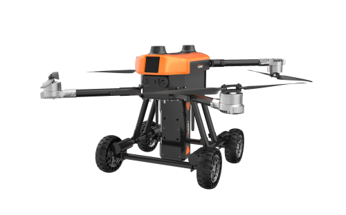 美女的隐藏部位是什么图片