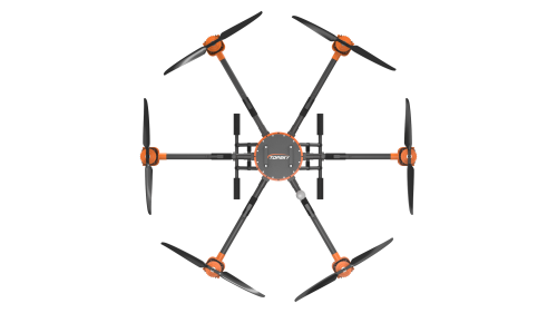 美女的隐藏部位是什么图片