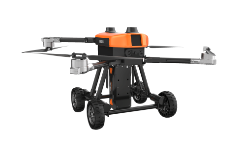 美女的隐藏部位是什么图片