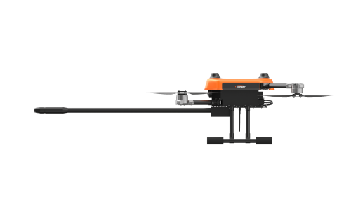 美女的隐藏部位是什么图片