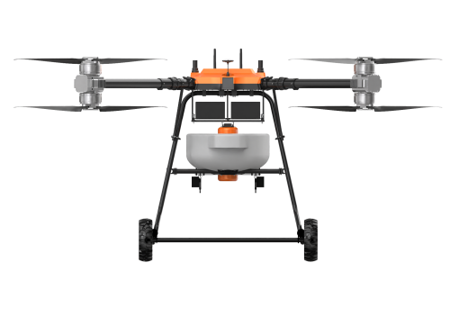 美女的隐藏部位是什么图片