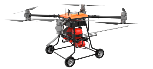 美女的隐藏部位是什么图片