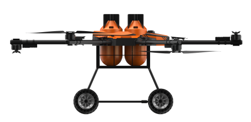 美女的隐藏部位是什么图片