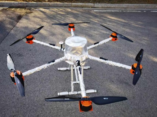 美女的隐藏部位是什么图片