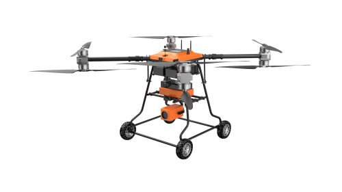 美女的隐藏部位是什么图片