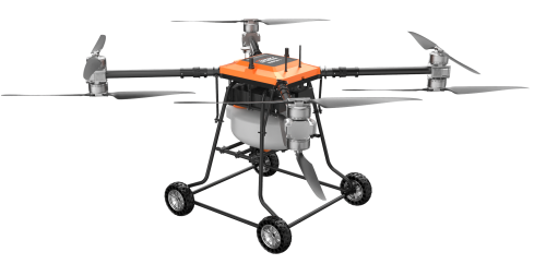 美女的隐藏部位是什么图片