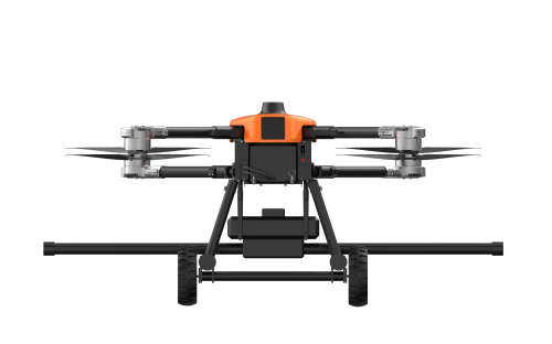 美女的隐藏部位是什么图片