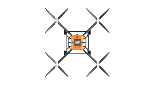 美女的隐藏部位是什么图片