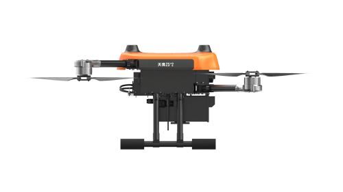 美女的隐藏部位是什么图片