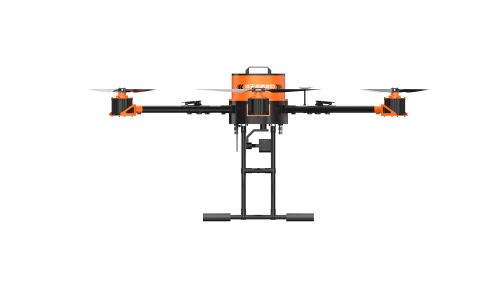 美女的隐藏部位是什么图片