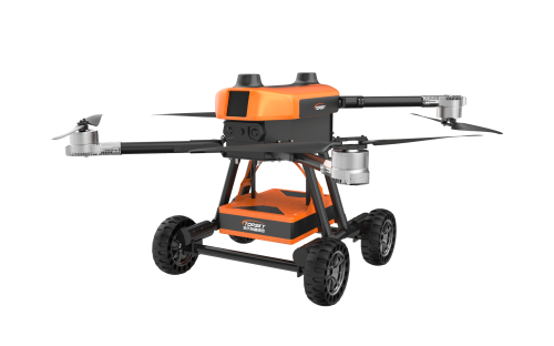 美女的隐藏部位是什么图片