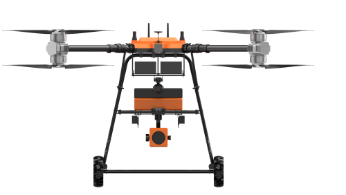 美女的隐藏部位是什么图片