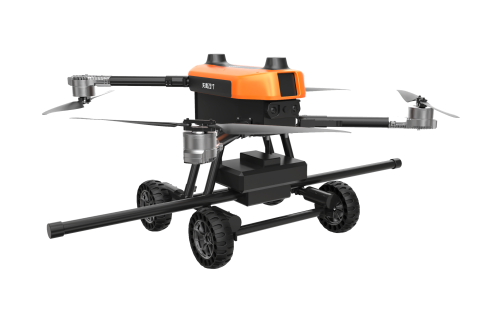 美女的隐藏部位是什么图片