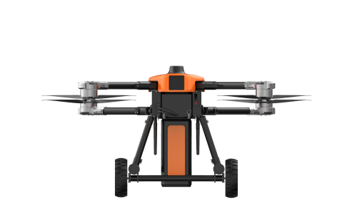 美女的隐藏部位是什么图片