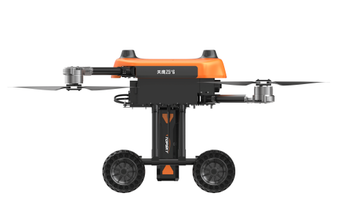 美女的隐藏部位是什么图片