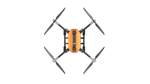 美女的隐藏部位是什么图片