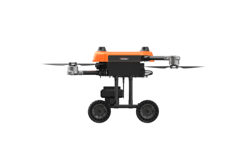 美女的隐藏部位是什么图片