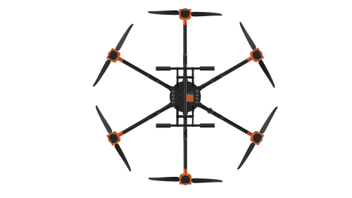 美女的隐藏部位是什么图片