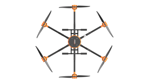 美女的隐藏部位是什么图片