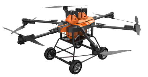 美女的隐藏部位是什么图片