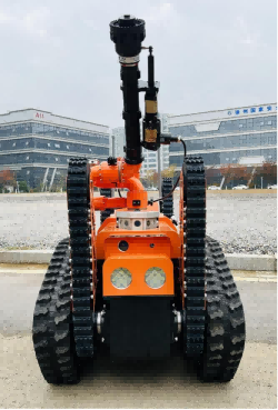 美女的隐藏部位是什么图片