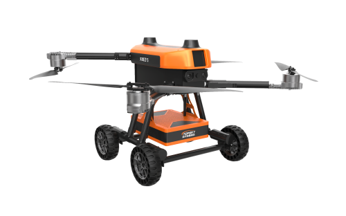 美女的隐藏部位是什么图片