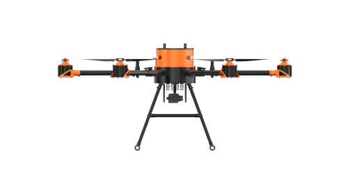 美女的隐藏部位是什么图片