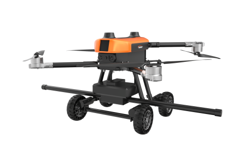 美女的隐藏部位是什么图片