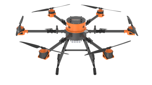 美女的隐藏部位是什么图片