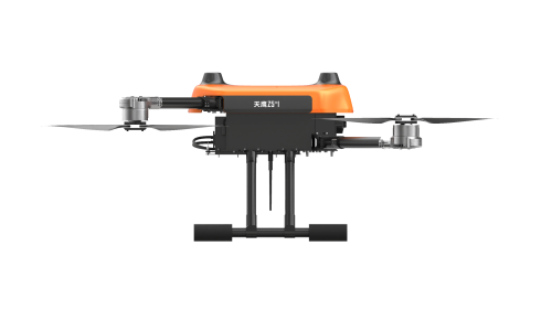 美女的隐藏部位是什么图片